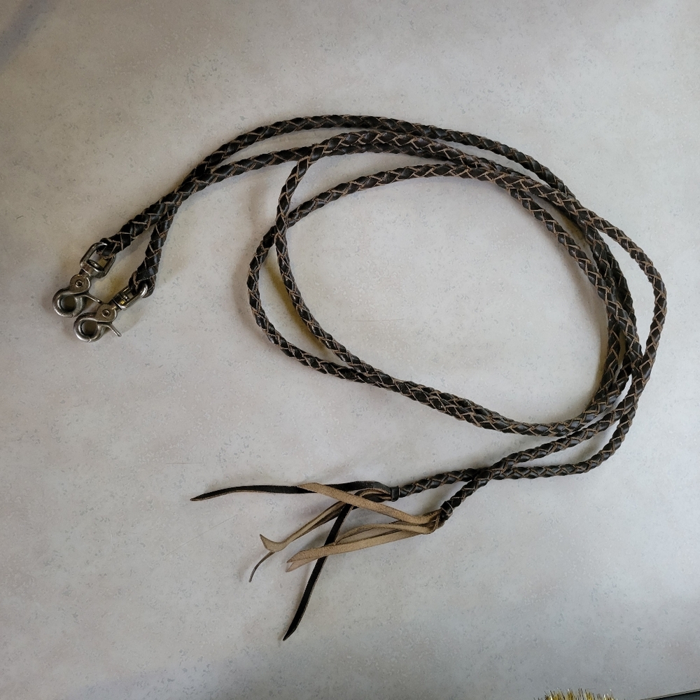 Reins